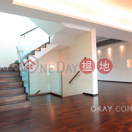 Stylish penthouse with sea views, rooftop & balcony | Rental | Chelsea Court 賽詩閣 _0