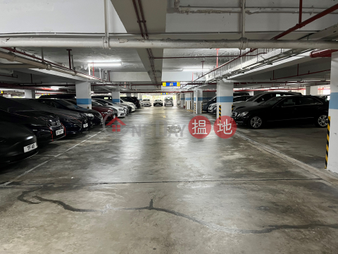 City One Shatin Phase 5 Car Park Space, Block 29 Site 3 City One Shatin 沙田第一城29座 | Sha Tin (PHO97-4391274605)_0