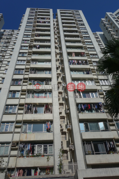 安屏閣 (14座) (Block 14 On Ping Mansion Sites D Lei King Wan) 西灣河|搵地(OneDay)(3)