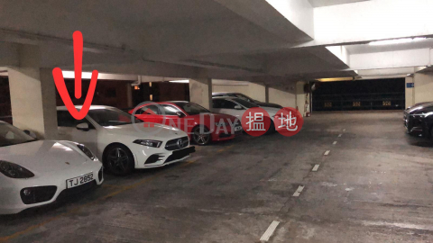 大坑台有蓋車位出租$1500, 大坑台 Tai Hang Terrace | 灣仔區 (PHILIP-944063653)_0