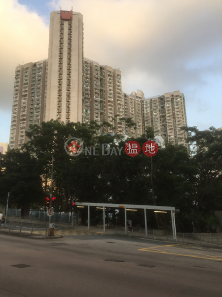 碧鳳樓 (2座) (Pik Fung House (Block 2) Fung Tak Estate) 鑽石山|搵地(OneDay)(1)