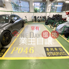 Mont Vert- Spacious Car Park For Sale, Mont Vert Phase 2 Tower 1 嵐山第2期1座 | Tai Po District (ELILA-7951782688)_0
