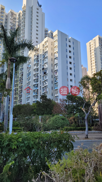 Savannah Tower 5 (SAVANNAH5座),Tseung Kwan O | ()(1)