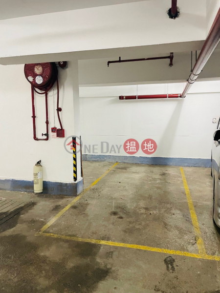 Tai Po Fixed Indoor Car Park for Rent, Block A Treasure Garden 海寶花園 A座 Rental Listings | Tai Po District (5983520221)