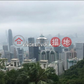 Expat Family Flat for Sale in Peak, No.28 Barker Road 白加道28號 | Central District (EVHK44195)_0