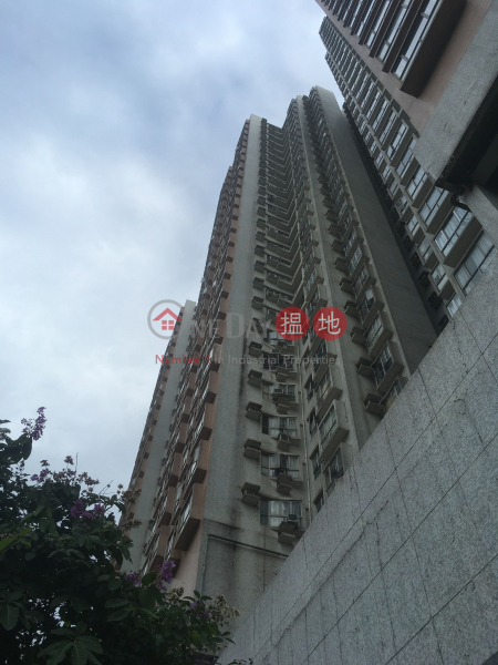 嘉蘭閣 (3座) (Canary Court(Block 3) Fanling Town Center) 粉嶺|搵地(OneDay)(1)