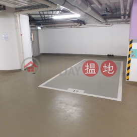 Bel-Air on the Peak Phase 4 L2 Wide Carpark for Rent | Phase 4 Bel-Air On The Peak Residence Bel-Air 貝沙灣4期 _0