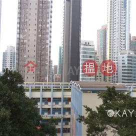 Popular penthouse with rooftop | For Sale | Chung Yin Court 頌賢閣 _0