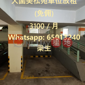 大圍美松苑車位放租 (免佣),美松苑 富松閣 (A座) Mei Chung Court Block A Fu Chung House | 沙田 (CLAYT-7250266314)_0