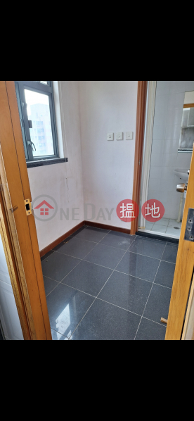 80 ROBINSON ROAD, 80 Robinson Road 羅便臣道80號 Rental Listings | Western District (AMKPR-1041929034)