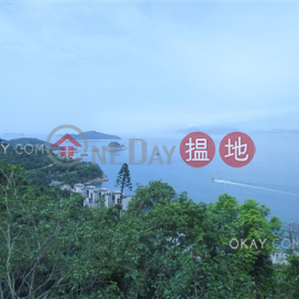 Exquisite house with sea views, rooftop & terrace | For Sale | 110 Repulse Bay Road 淺水灣道110號 _0