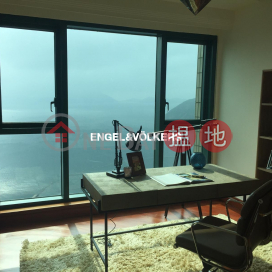 淺水灣4房豪宅筍盤出租|住宅單位 | Fairmount Terrace Fairmount Terrace _0