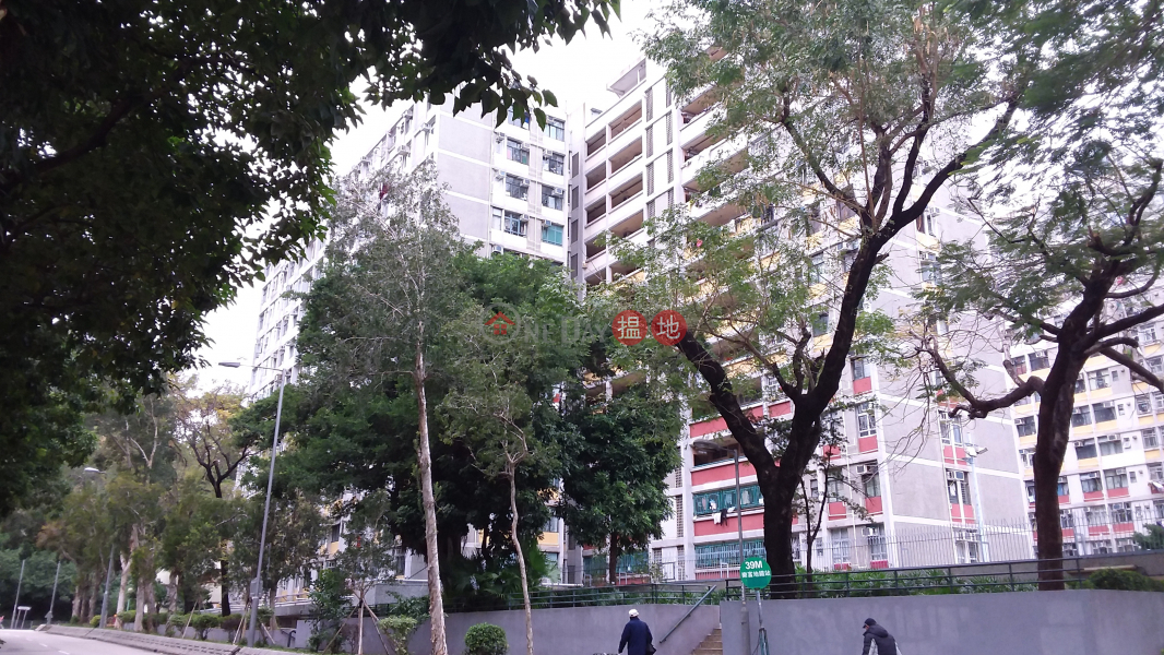 柏東樓東頭(二)邨 (Pak Tung House Tung Tau (II) Estate) 九龍城|搵地(OneDay)(1)