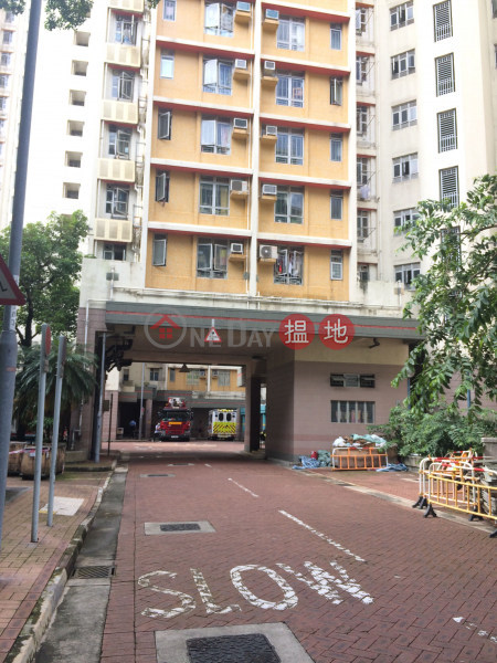 大坑東邨東健樓 (Tung Kin House, Tai Hang Tung Estate) 石硤尾|搵地(OneDay)(1)