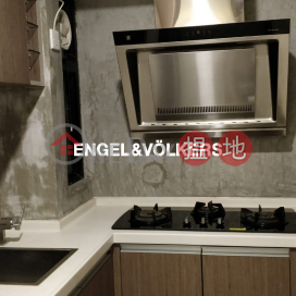1 Bed Flat for Rent in Soho, Rich View Terrace 豪景臺 | Central District (EVHK23063)_0
