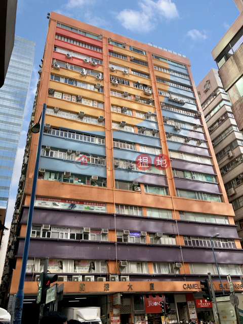 安居工商 何生 全包 大量不同私家車位及貨車位 | Camel Paint Building 駱駝漆大廈 _0