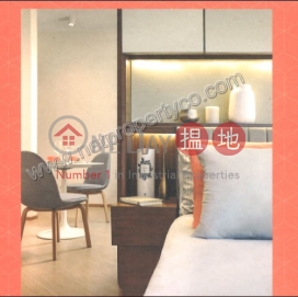 New Decorated Service apartment for Lease | The Hillside 曉寓 _0