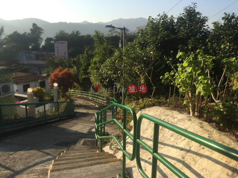 Shan Ting Tsuen Village House (Shan Ting Tsuen Village House) Peng Chau|搵地(OneDay)(1)