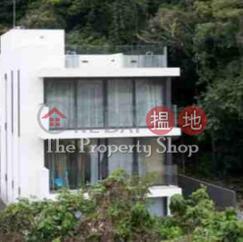 Stylish Detached CWB Home, 下洋村91號 91 Ha Yeung Village | 西貢 (CWB0713)_0
