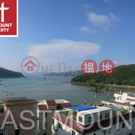 清水灣 Tai Hang Hau, Lung Ha Wan 龍蝦灣大坑口村屋出售-獨立, 海景 出售單位