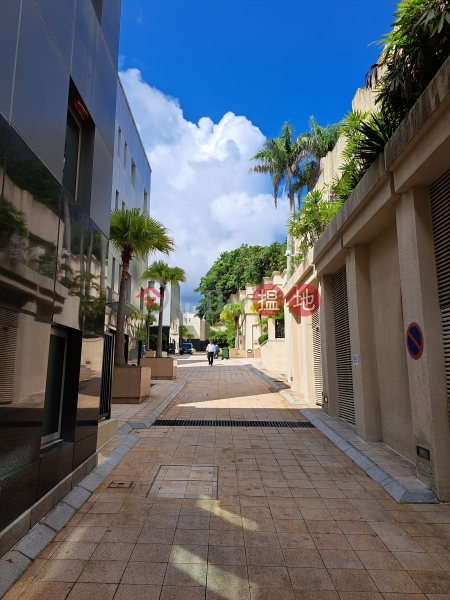 淺水灣道56號 (56 Repulse Bay Road) 淺水灣| ()(2)