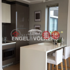 Studio Flat for Rent in Mid Levels West, Soho 38 Soho 38 | Western District (EVHK86988)_0