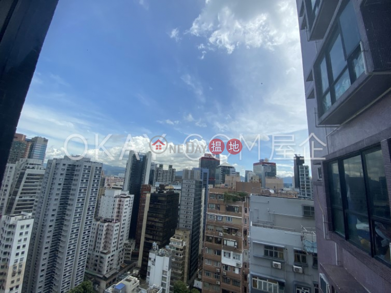 Charming studio on high floor | For Sale, Rich View Terrace 豪景臺 Sales Listings | Central District (OKAY-S61308)