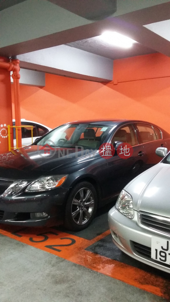 Parking Space for Rent, Yiu Hei House (Block D) Tung Hei Court 耀熹閣 (D座) Rental Listings | Eastern District (RAYMO-5482154140)