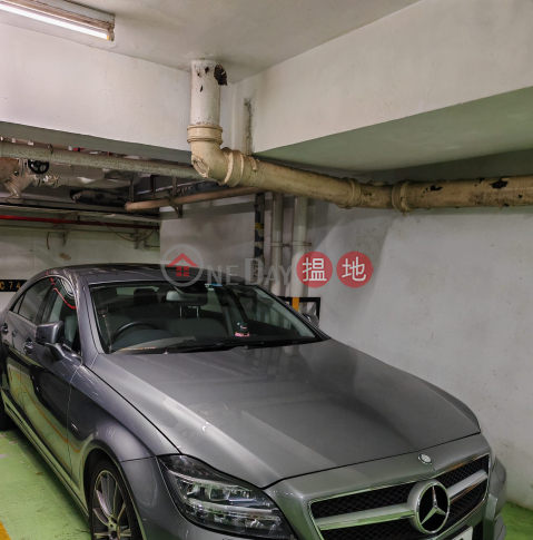 Carpark in Conduit Road, Scenecliff 承德山莊 | Western District (THAM-3378974724)_0