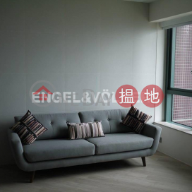 Studio Flat for Rent in Mid Levels West, 80 Robinson Road 羅便臣道80號 | Western District (EVHK85770)_0