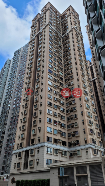 Robinson Heights (樂信臺),Mid Levels West | ()(3)
