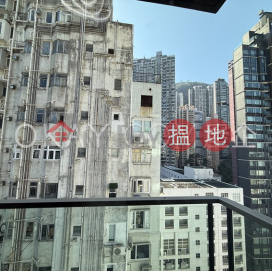 1房1廁,極高層,露台奧卑利街28號出租單位