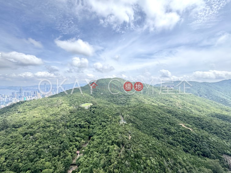 5房3廁,實用率高,極高層,海景陽明山莊 眺景園出租單位|陽明山莊 眺景園(Parkview Corner Hong Kong Parkview)出租樓盤 (OKAY-R26918)