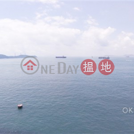 Lovely 3 bedroom on high floor with rooftop | Rental | Phase 2 Villa Cecil 趙苑二期 _0