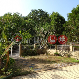 4房3廁,連車位,露台,獨立屋《Lung Mei Village出租單位》 | 龍尾 Lung Mei Village _0