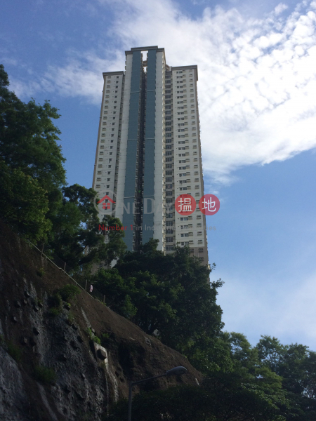 Tower 2 High Prosperity Terrace (Tower 2 High Prosperity Terrace) Kwai Chung|搵地(OneDay)(3)