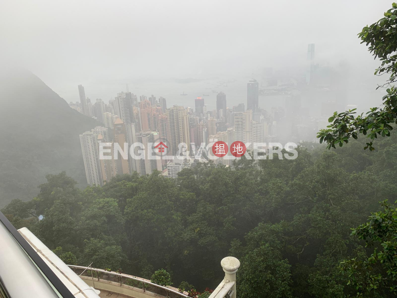 HK$ 300,000/ 月種植道73號|中區|山頂兩房一廳筍盤出租|住宅單位