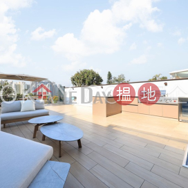 Luxurious house with rooftop, balcony | Rental