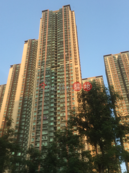 Tower 7 Phase 1 Park Central (將軍澳中心 1期 7座),Tseung Kwan O | ()(3)