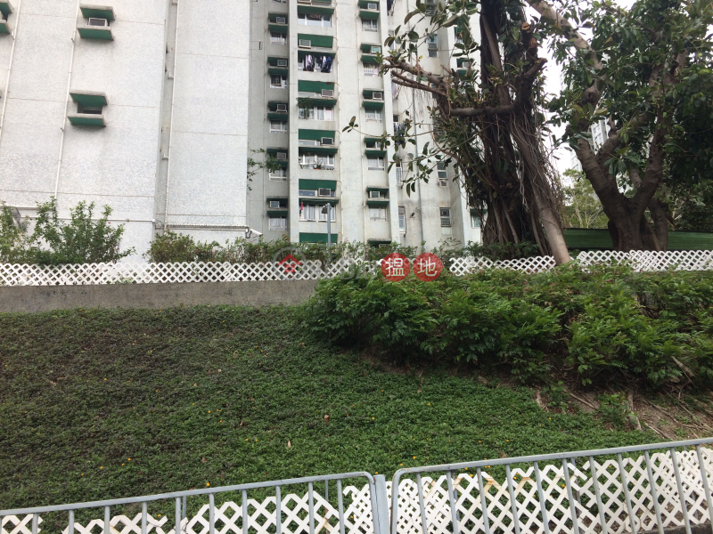 Wang King House(Block A)Tin Wang Court (Wang King House(Block A)Tin Wang Court) Wong Tai Sin|搵地(OneDay)(2)