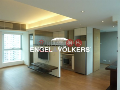 Spacious Apartment in Cherry Chest, Cherry Crest 翠麗軒 | Central District (MIDLE-EVHK39140)_0