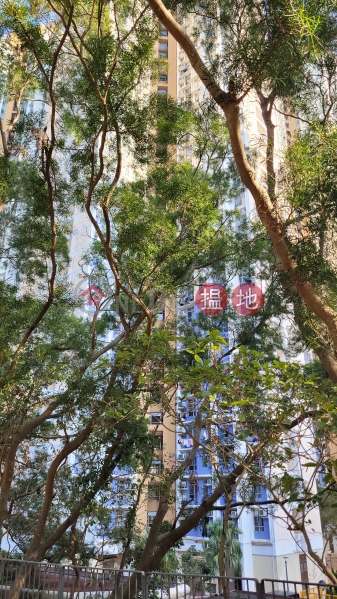 Choi Lau House (Block B) Choi Ming Court (彩明苑 彩柳閣 (B座)),Tseung Kwan O | ()(1)