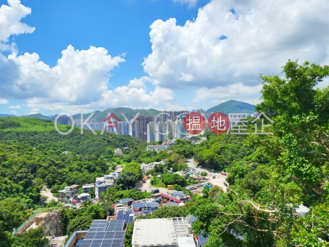 Gorgeous house with rooftop, terrace & balcony | For Sale | Mang Kung Uk Village 孟公屋村 _0