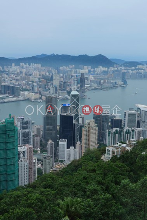 3房2廁,連車位山景出售單位, 山景 Mountain View | 中區 (OKAY-S355902)_0