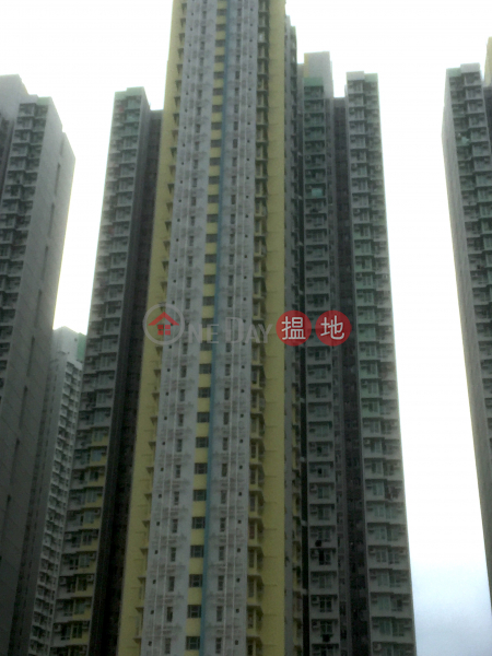 德朗邨德璋樓 (Tak Cheung House, Tak Long Estate) 九龍城|搵地(OneDay)(4)