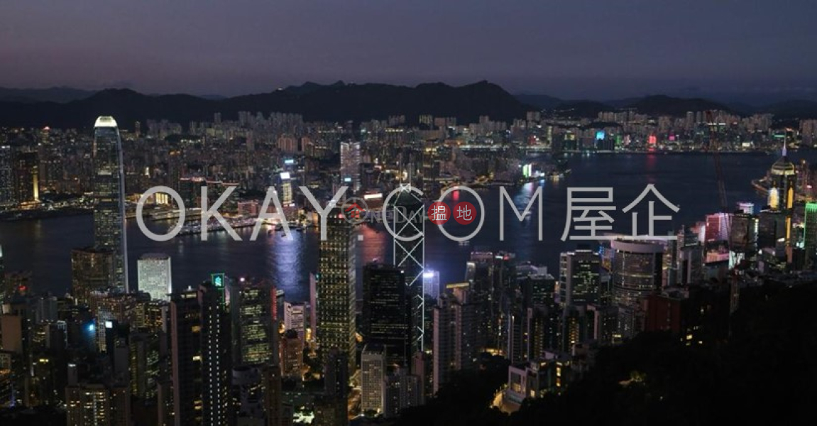 3房2廁,連車位山景出售單位|中區山景(Mountain View)出售樓盤 (OKAY-S355902)