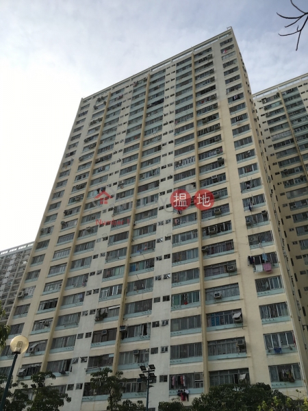 Tai Yuen Estate Block A Tai Lok House (大元村 泰樂樓 A座),Tai Po | ()(1)