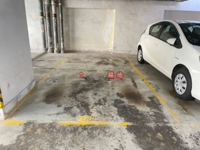 Morrison Plaza Carpark No.5, Morrison Plaza 天樂廣場 Rental Listings | Wan Chai District (JESSI-8934377309)