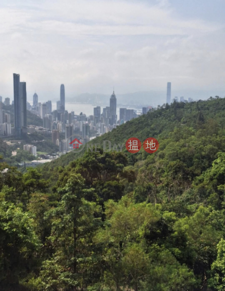 HK$ 75,000/ 月|陽明山莊 眺景園南區HONG KONG PARKVIEW