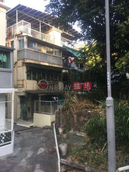 圍仔第三街村屋 (Village House on 3rd Street Wai Tsai San Tsuen) 坪洲|搵地(OneDay)(3)